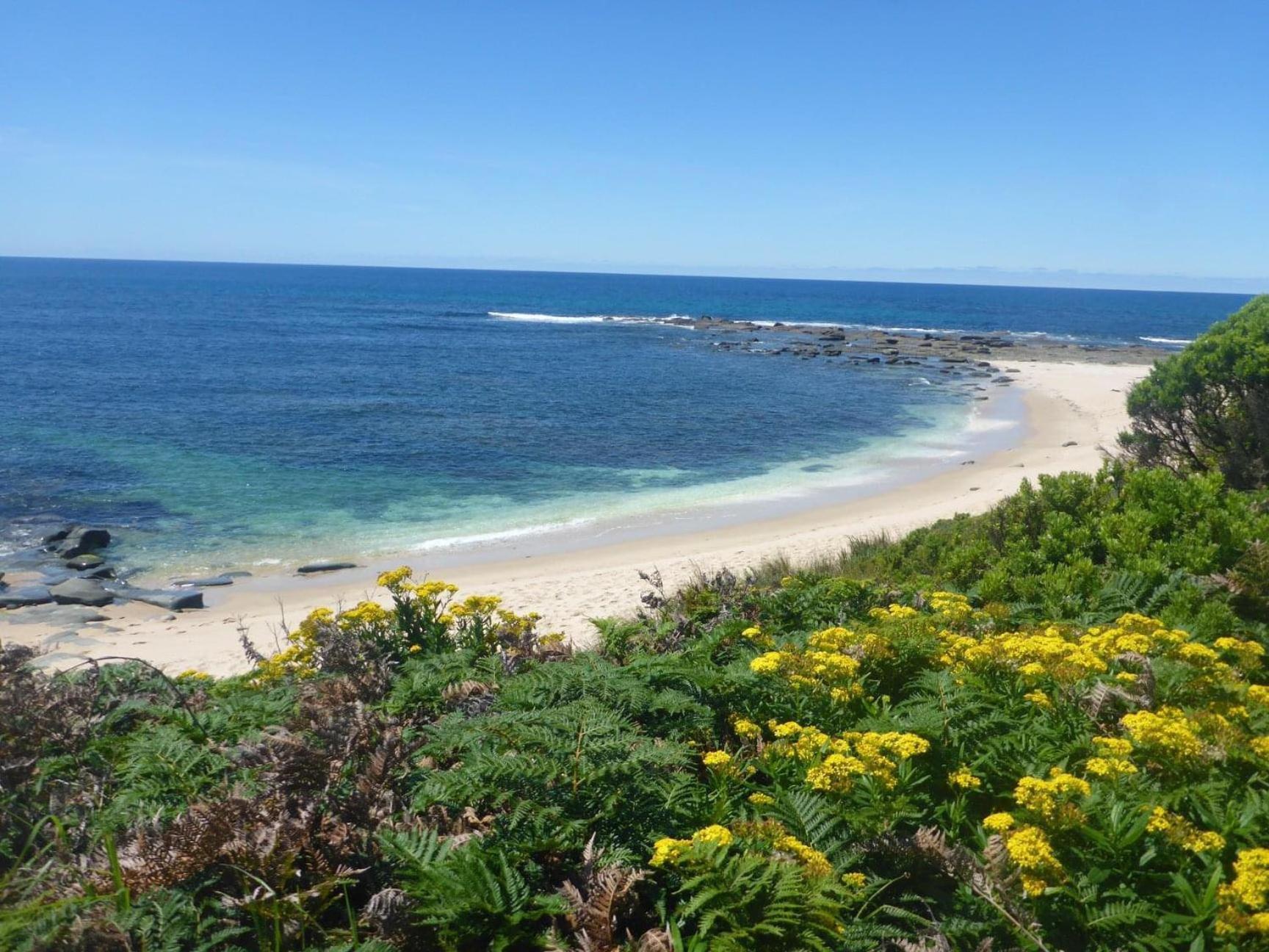 Great Ocean Road Wellness And Nature Stay Apollo Bay Ngoại thất bức ảnh